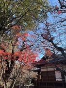 懐古神社と紅葉…