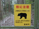 熊注意