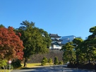富士見櫓　秋季皇居乾通り一般公開…