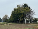 神明神社と城址遠景