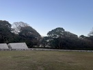 指月西公園から見た萩城…