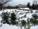 玉泉院丸庭園の雪化粧…