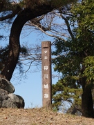 柳川城跡の碑