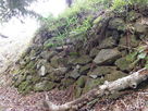 本丸斜面の石垣