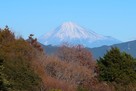 安倍城 本丸より望む富士山（望遠）