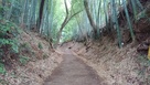 竹林の山道をすすむ…