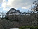 西日本随一の桜の名所と知られる平山城…