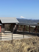 門と富士山