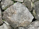 西の丸 奈良村刻印石…