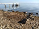 琵琶湖の水位下降で姿を現した石垣跡…