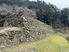 米倉石垣