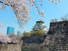 大阪城天守閣と桜…