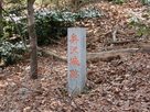 「奥沢城跡」石碑