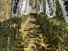 杉本城　杉本寺の苔の階段