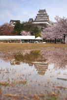 雨上がりの朝に…