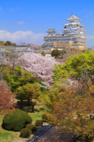 お庭も巡りつつ・・・