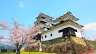 桜と大洲城