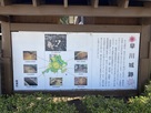 早川城　城跡の説明板…