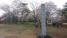 松岡城址の桜