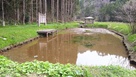 愛宕谷公園にある蓮池…