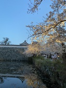 下之橋御門と潮見櫓と桜…