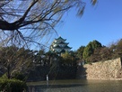 早朝の名古屋城…