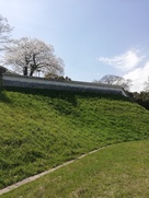 亀山城二の丸帯曲輪土居  復元城壁…