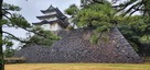 富士見櫓と石垣(南東よりから)…