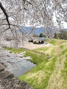 桜と堀と土塁