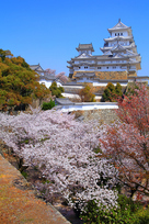「西の丸」より巡れば