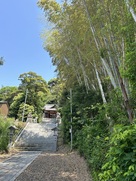蔵波八幡神社の参道…