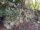 園林寺跡の石垣…
