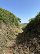 東山馬場から東山虎口を臨む…