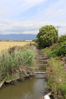 西側水堀の跡