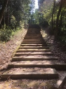 和田神社から城跡へ向かう階段…