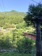 城山手前の城西大橋…