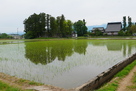 北側からの小出神社…