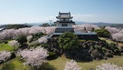 竹崎城展望台と桜…