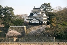 吉田城と桜