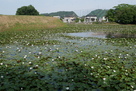 本丸土塁と北側水堀…