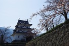 桜が咲きかけ宇和島城…