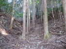 本丸への登山道