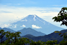 丸山山頂から残雪の富士を望む…