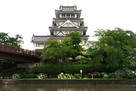 梅雨空と紫陽花咲く墨俣城