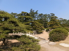 披雲閣庭園