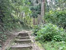 登山道とあじさい…