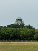 天守（太陽の広場野球場より）…