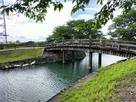 公園水路にかかる木橋…