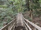 堀切上の木橋