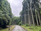 登城道